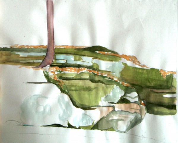 moss cliffs sketch 4