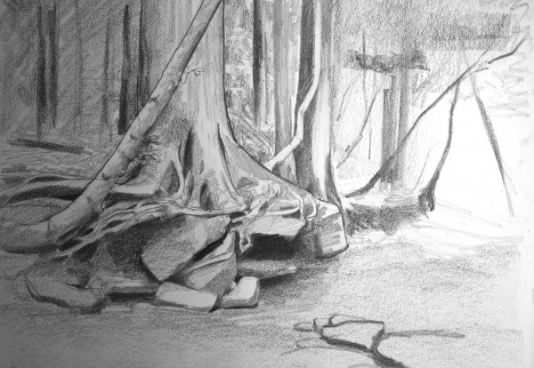 roots in the creek sketch