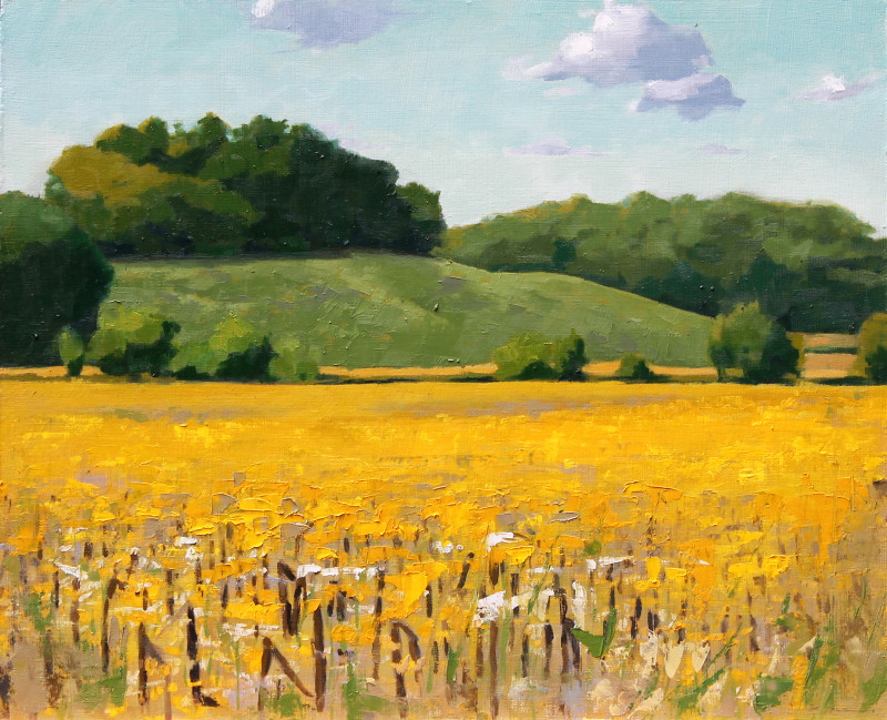 Yellow Field, 2016 oil on panel 13 x 16 in. 