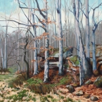 Solitary oil 2013 24x24 in AVAILABLE