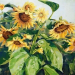 Sunflowers 2016 oil on canvas 24 x 24 in. SOLD