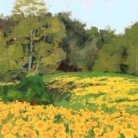 Sunflower Hill 2023 oil on panel 8 X 8 in.  AVAILABLE