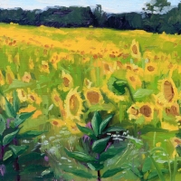 Sunflowers & Milkweed 2023 oil on panel 6 X 8 in.  AVAILABLE